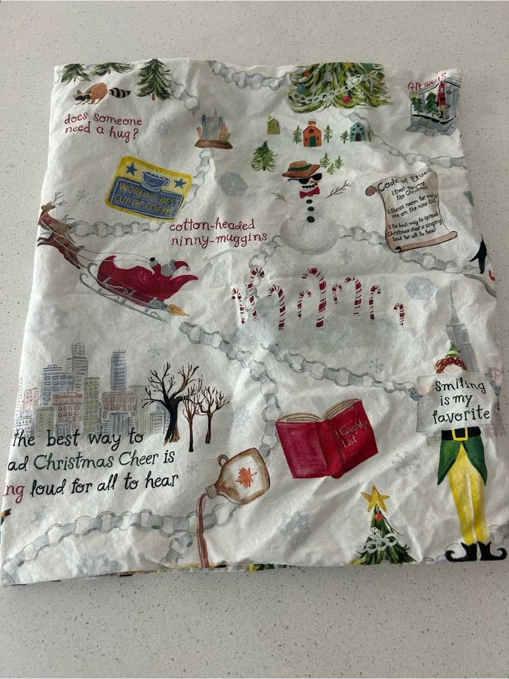 Pottery Barn Elf Christmas Pillowcase
